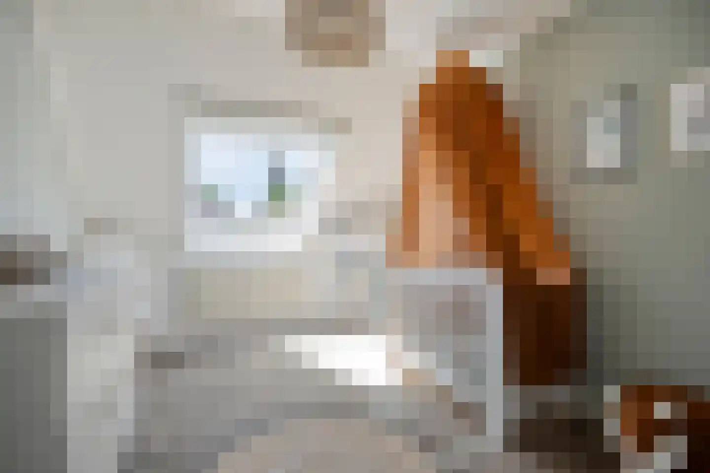 IJzerwerker 6 Sappemeer thumbnail 16