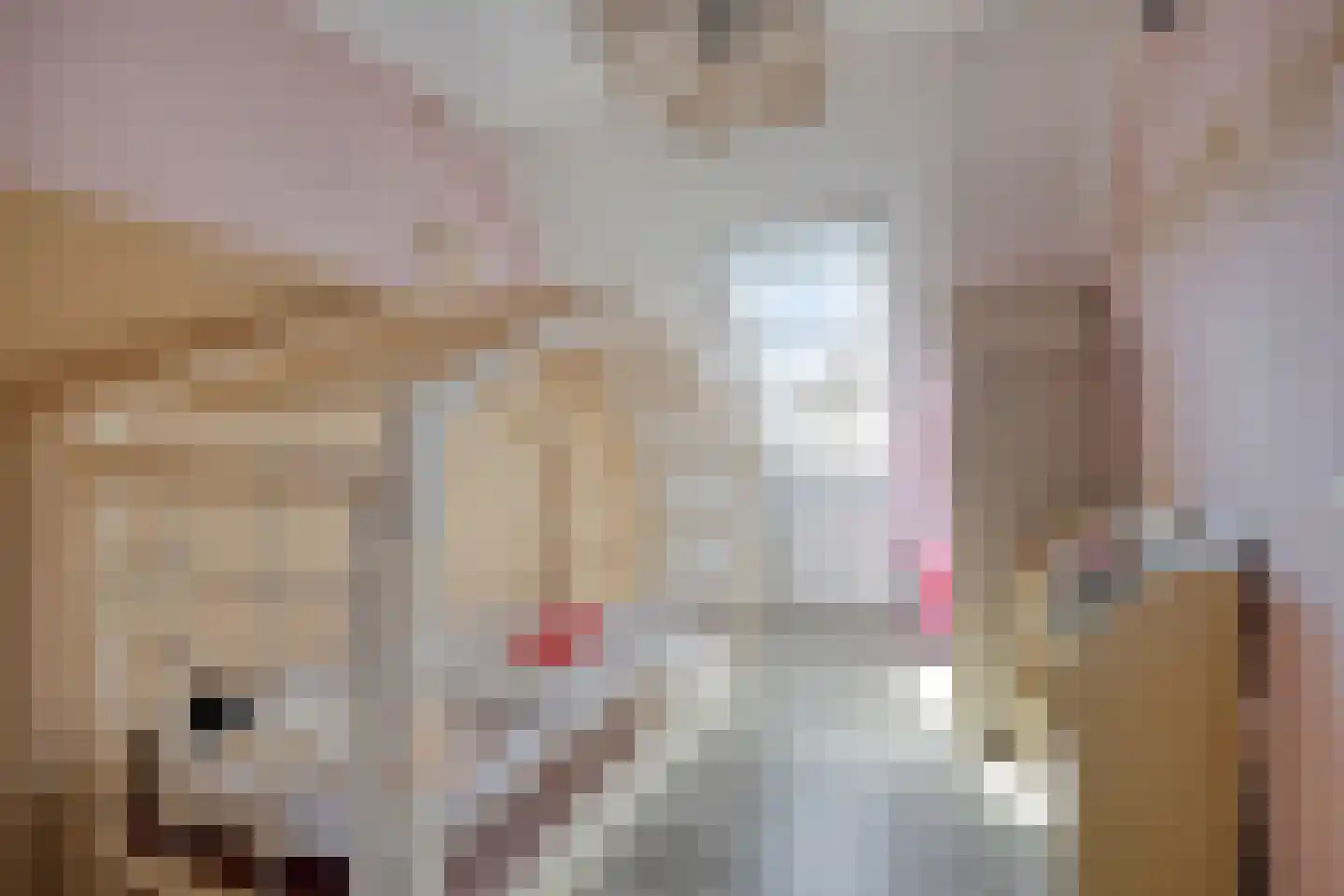 IJzerwerker 6 Sappemeer thumbnail 18