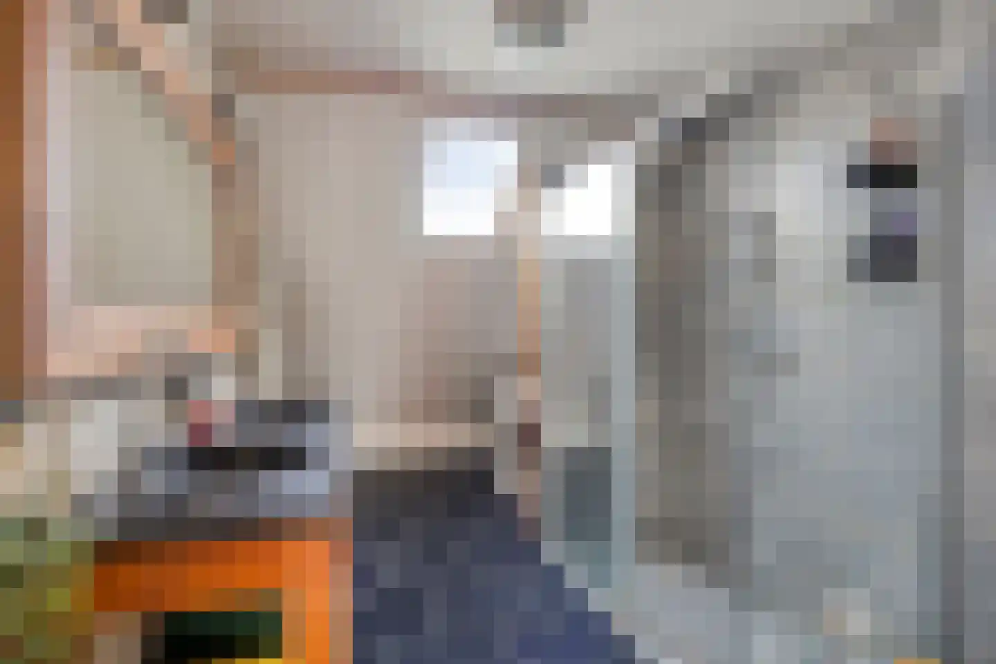 IJzerwerker 6 Sappemeer thumbnail 22