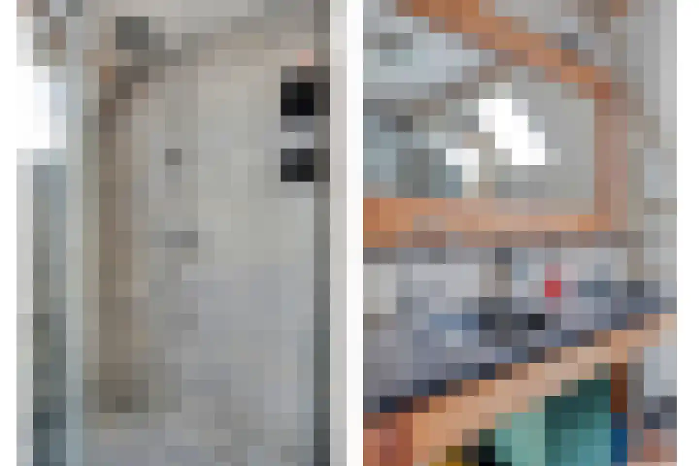 IJzerwerker 6 Sappemeer thumbnail 23