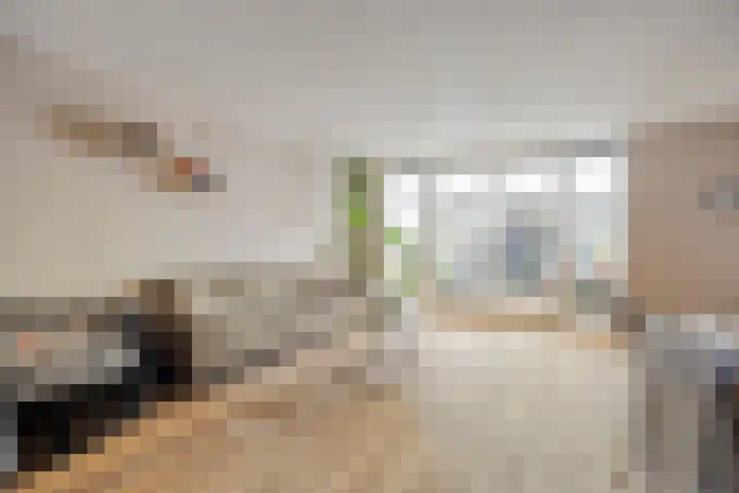 IJzerwerker 6 Sappemeer foto 3
