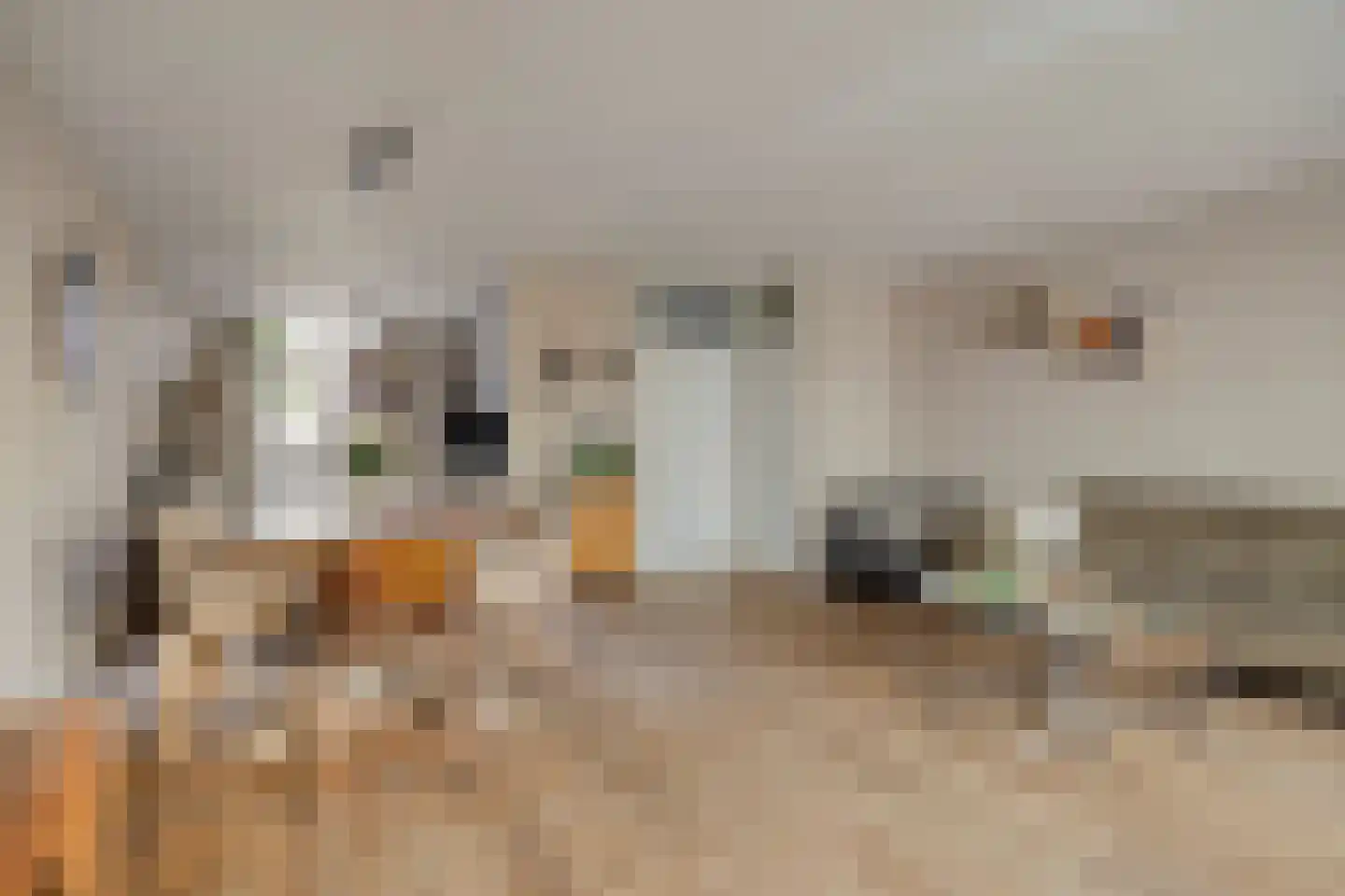 IJzerwerker 6 Sappemeer thumbnail 5