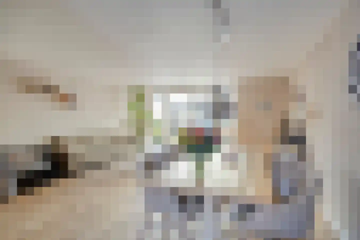 IJzerwerker 6 Sappemeer thumbnail 9
