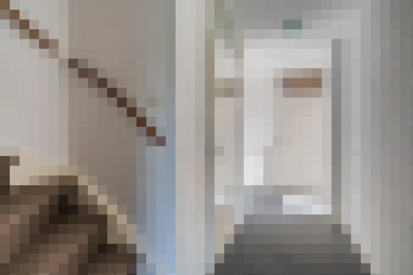 IJzerwerker 8 Sappemeer thumbnail 22