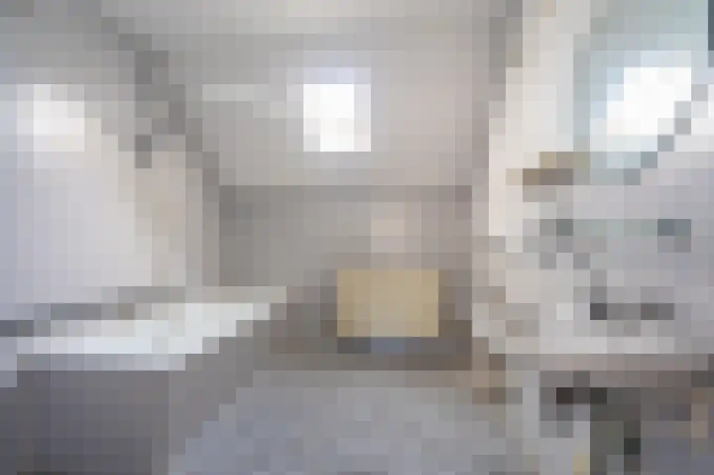 IJzerwerker 8 Sappemeer thumbnail 32