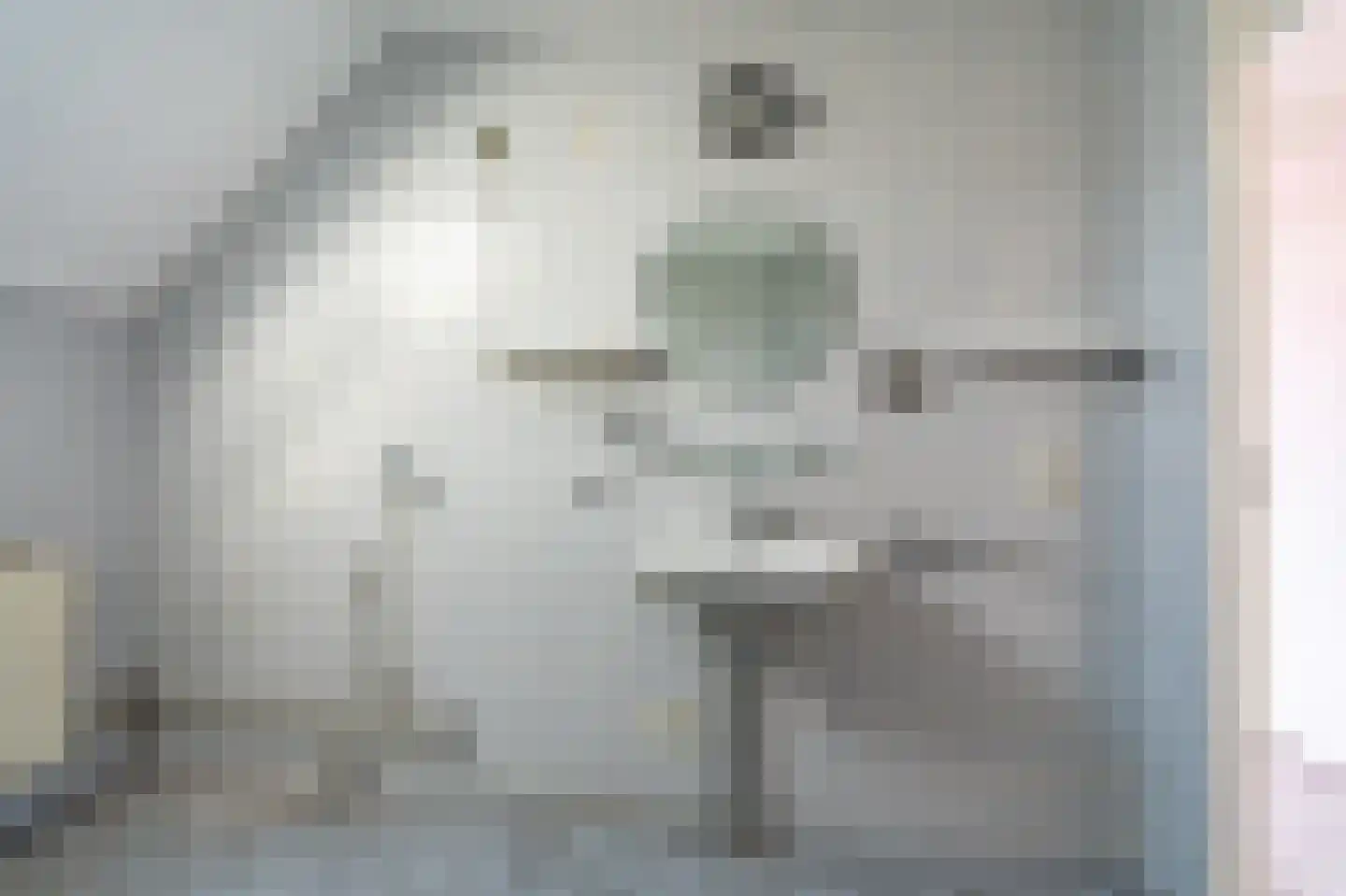 IJzerwerker 8 Sappemeer thumbnail 33