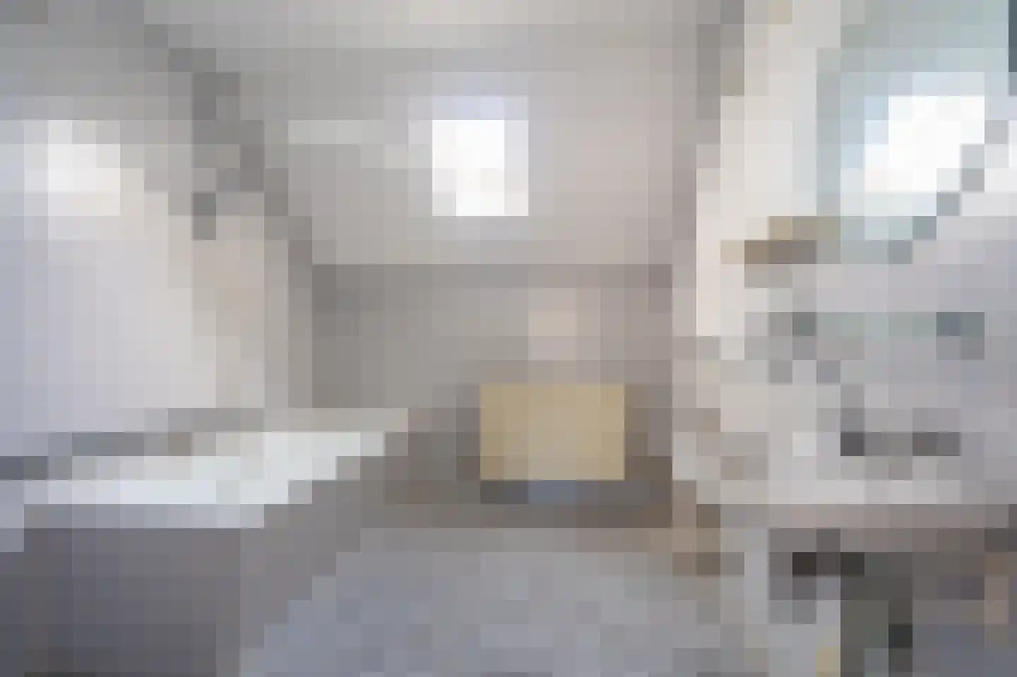 IJzerwerker 8 Sappemeer thumbnail 5
