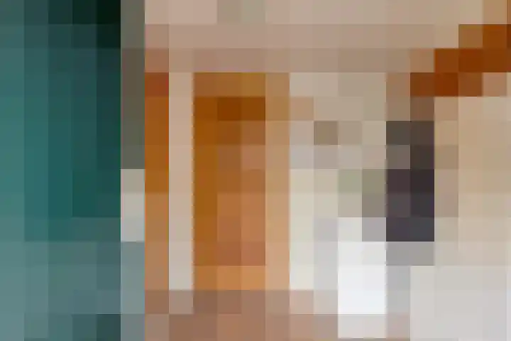 IJzevoordseweg 17 Doetinchem thumbnail 10