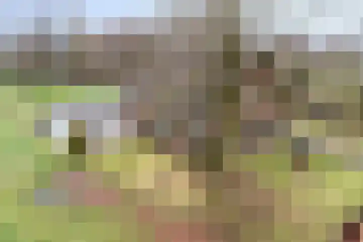 IJzevoordseweg 17 Doetinchem thumbnail 4