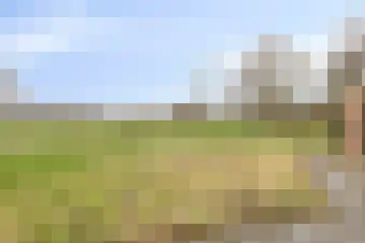 IJzevoordseweg 17 Doetinchem thumbnail 46