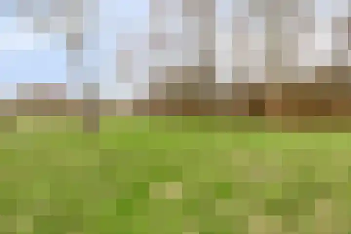 IJzevoordseweg 17 Doetinchem thumbnail 48