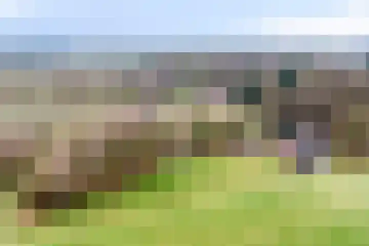 IJzevoordseweg 17 Doetinchem thumbnail 5