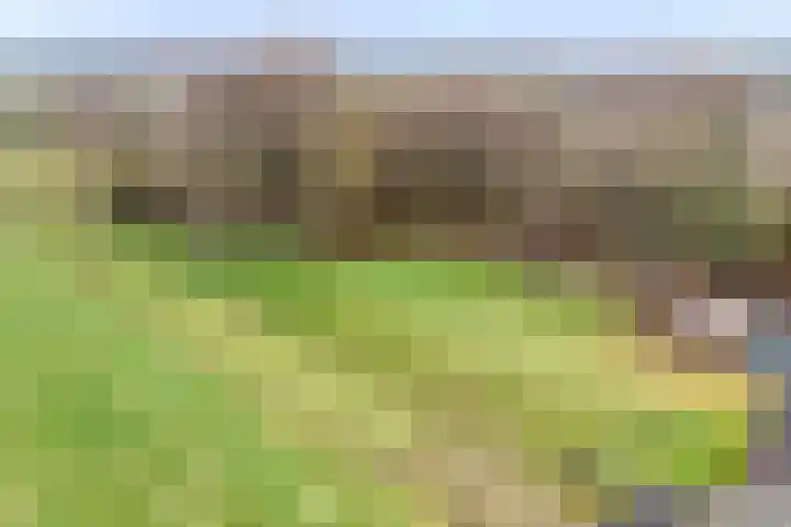 IJzevoordseweg 17 Doetinchem thumbnail 6
