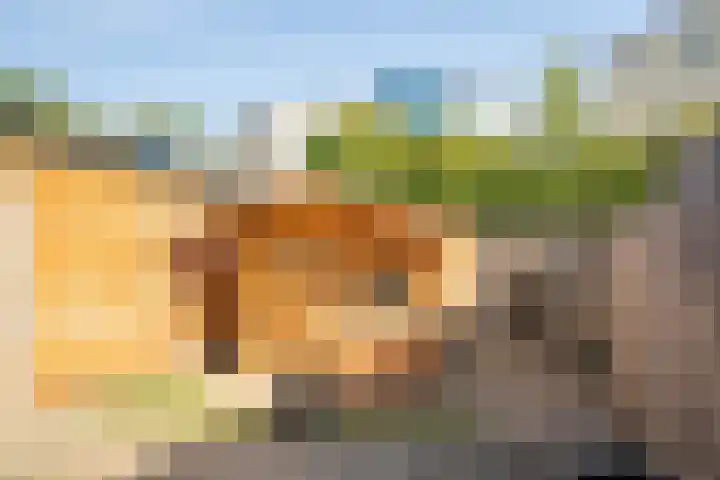 Ikaroslaan 20 Enschede thumbnail 24