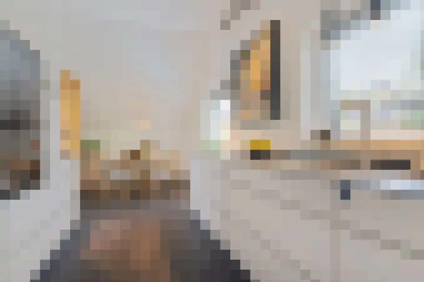 Ikaroslaan 31 Enschede thumbnail 15