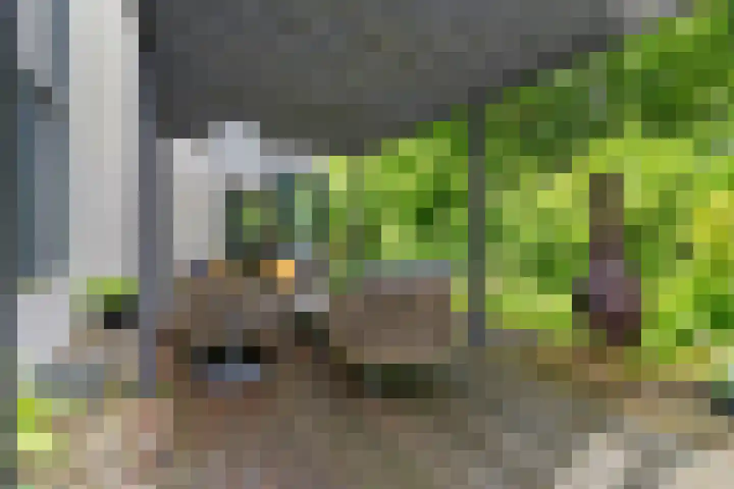 Ikaroslaan 31 Enschede thumbnail 38