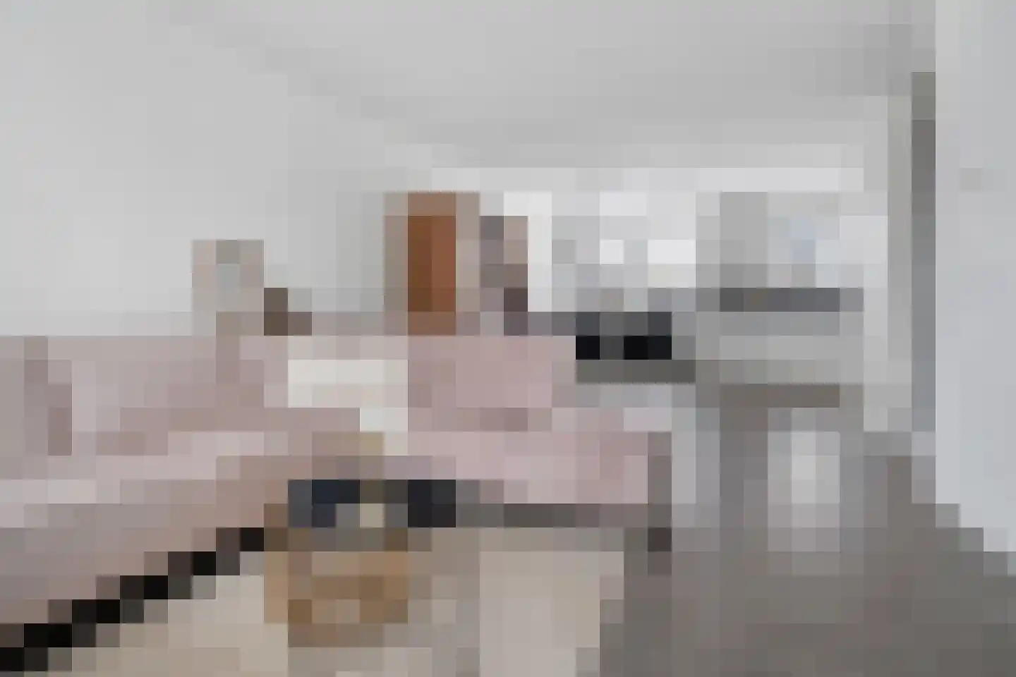 Ikaroslaan 6 Enschede thumbnail 11