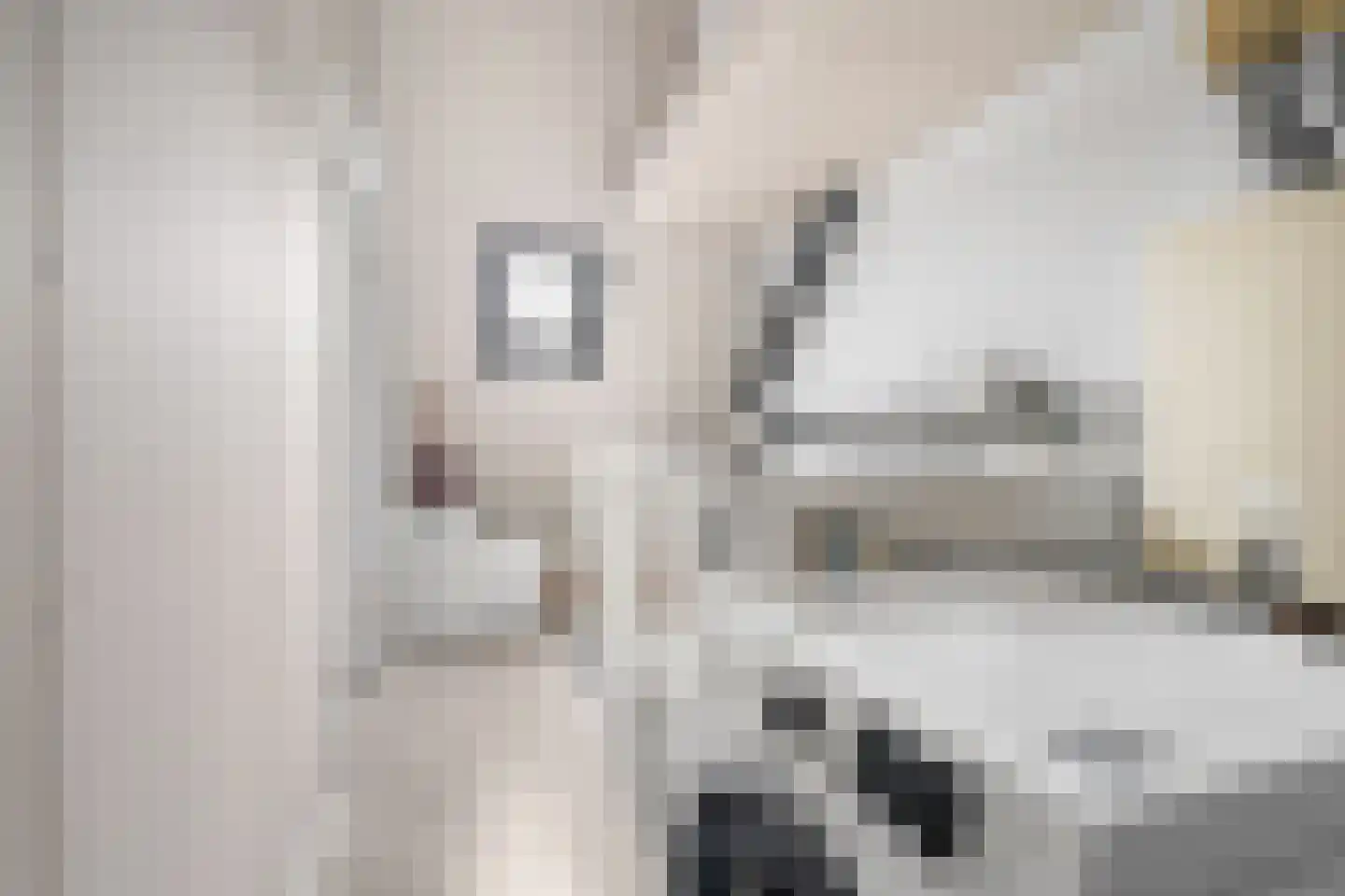 Ikaroslaan 6 Enschede thumbnail 31