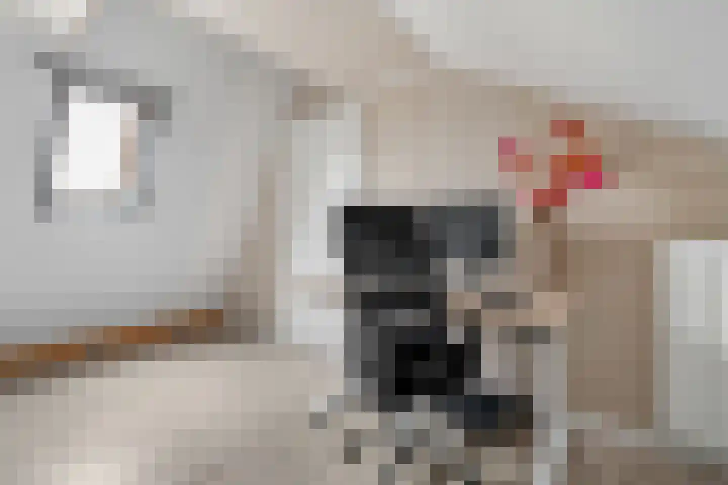 Ikaroslaan 6 Enschede thumbnail 32
