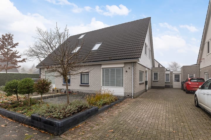 Ikeleane 13 en Stiens foto