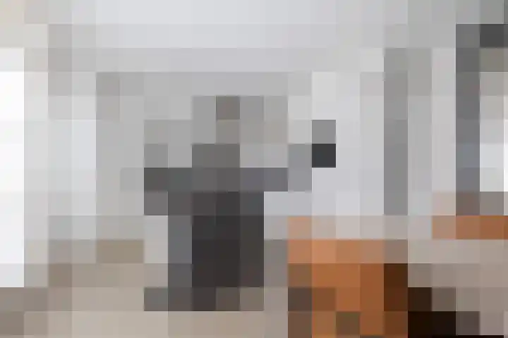 Ikeleane 13 Stiens thumbnail 12