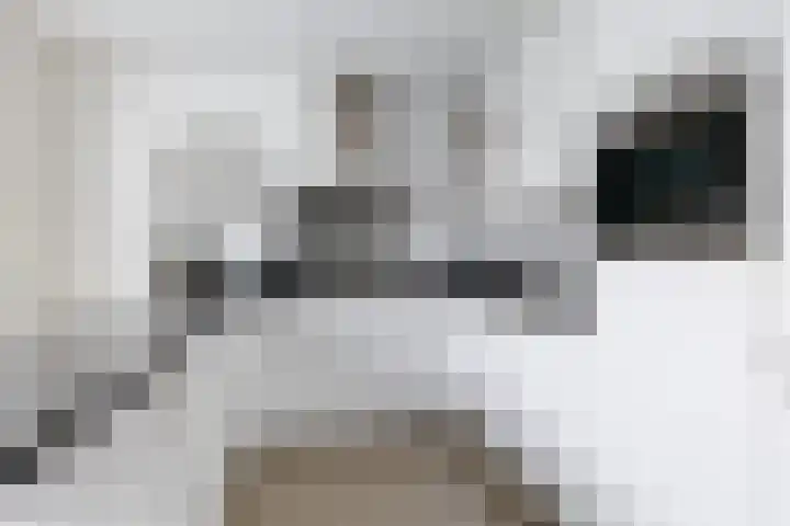 Ikeleane 13 Stiens thumbnail 13