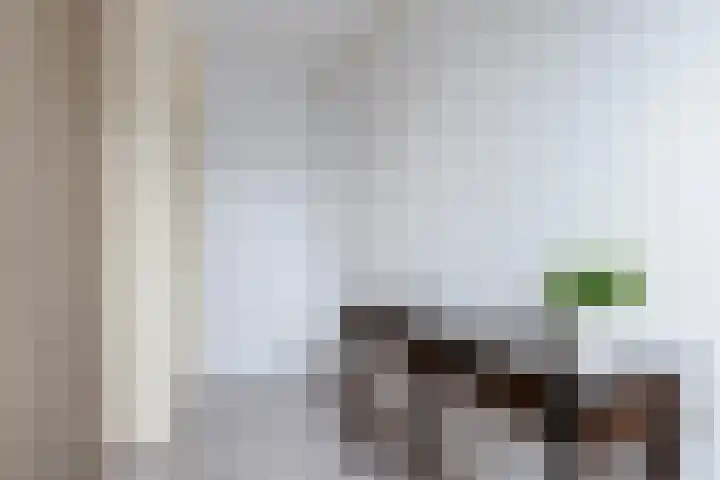 Ikeleane 13 Stiens thumbnail 27