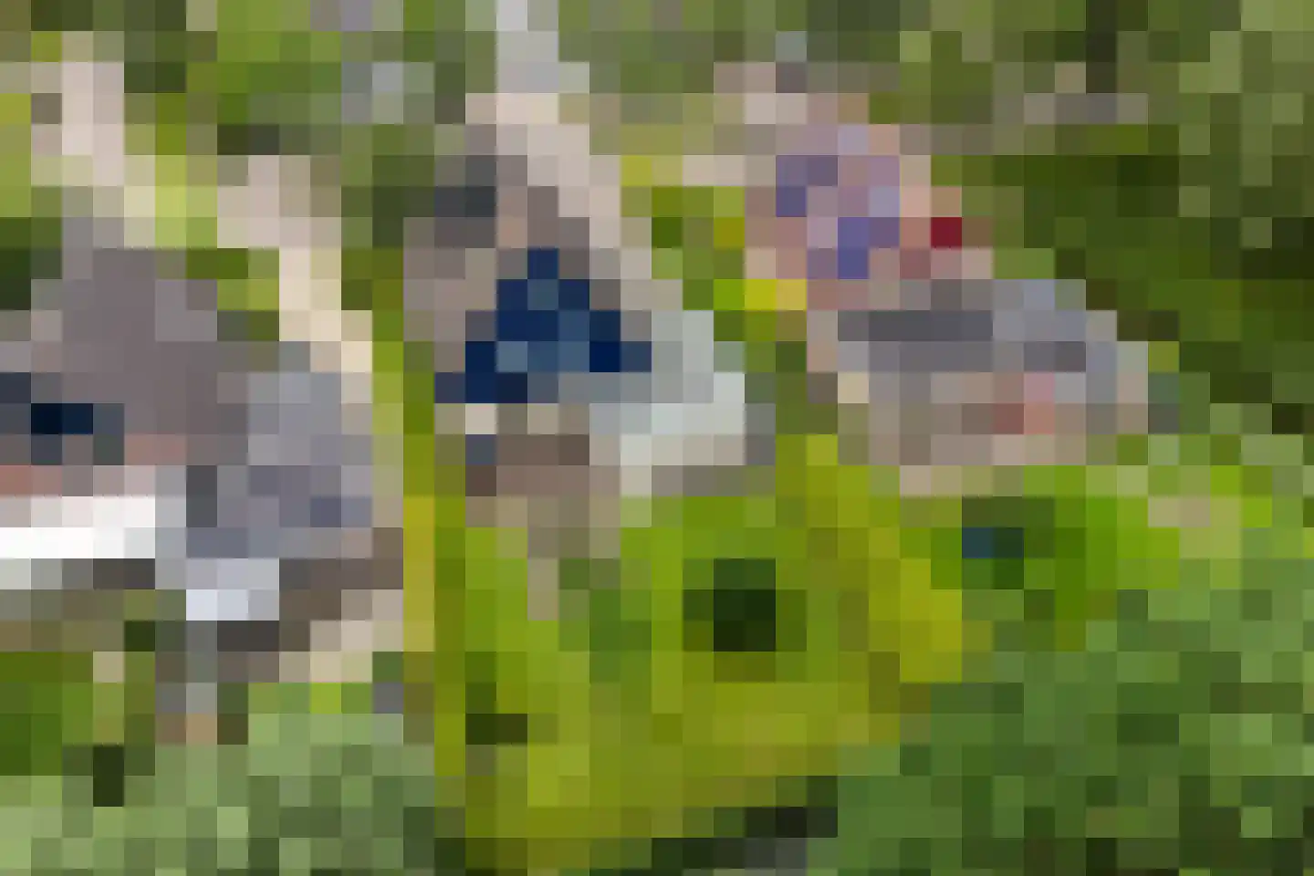 Ikeleane 14 Stiens thumbnail 45
