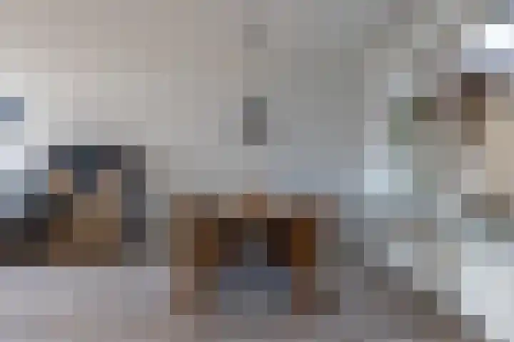 Ikeloane 17 Harkema thumbnail 10