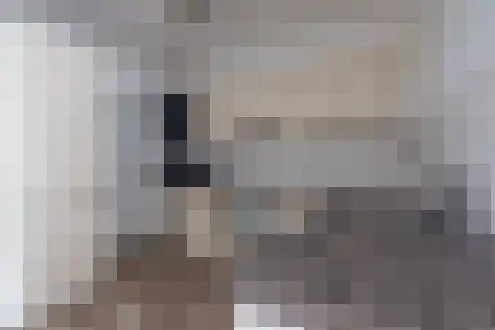 Ikeloane 17 Harkema thumbnail 12