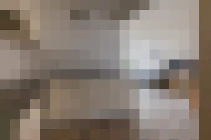 Ikeloane 17 Harkema thumbnail 13