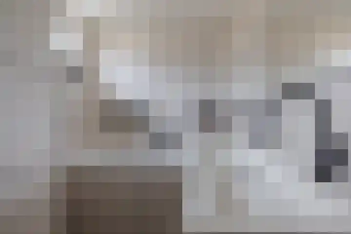 Ikeloane 17 Harkema thumbnail 15