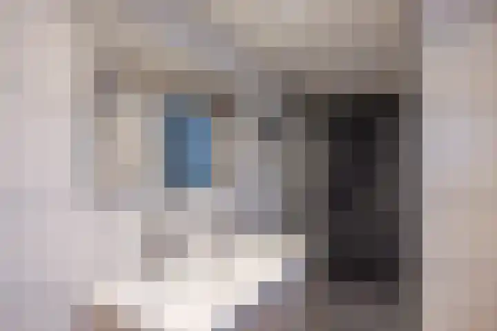 Ikeloane 17 Harkema thumbnail 17