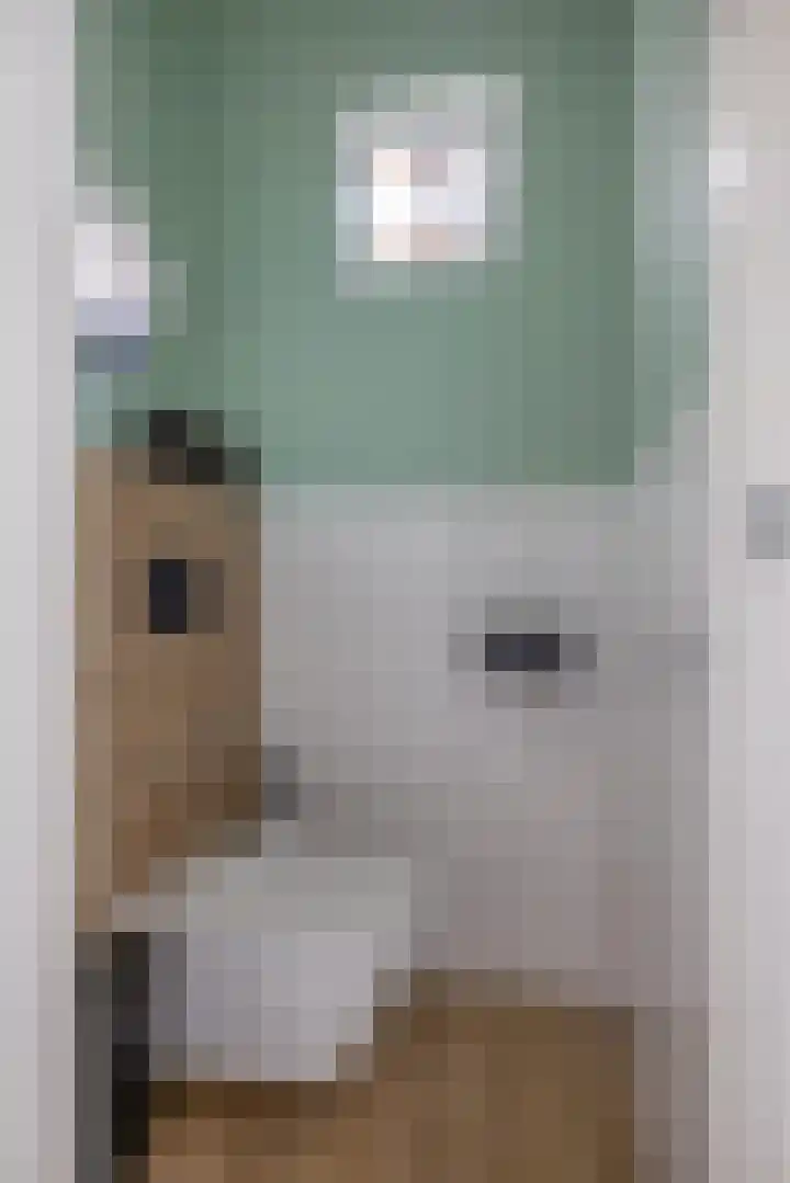 Ikeloane 17 Harkema thumbnail 18