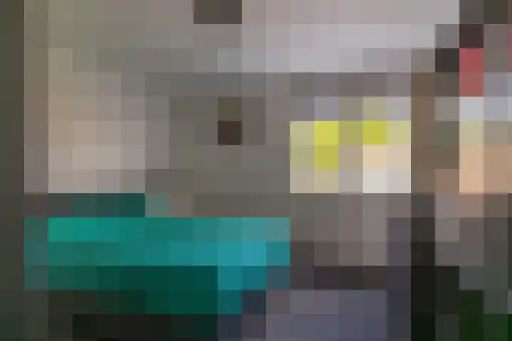 Ikeloane 17 Harkema thumbnail 21