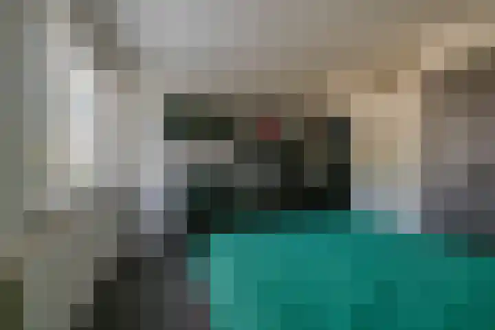 Ikeloane 17 Harkema thumbnail 22