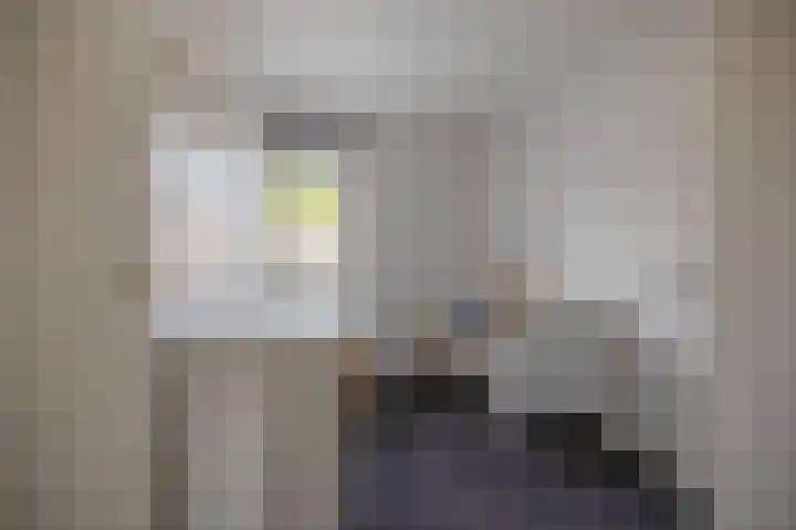 Ikeloane 17 Harkema thumbnail 23