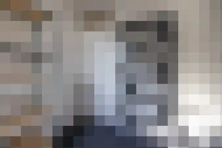 Ikeloane 17 Harkema thumbnail 29