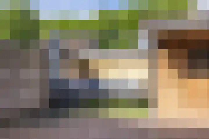 Ikeloane 17 Harkema thumbnail 32
