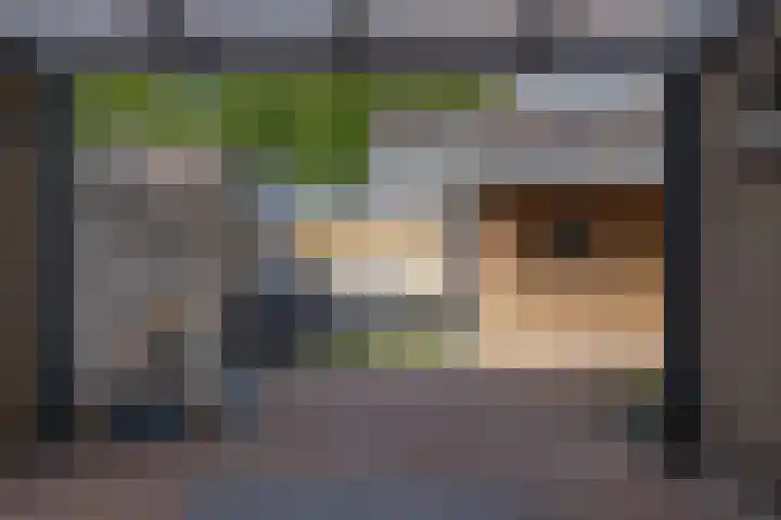 Ikeloane 17 Harkema thumbnail 34