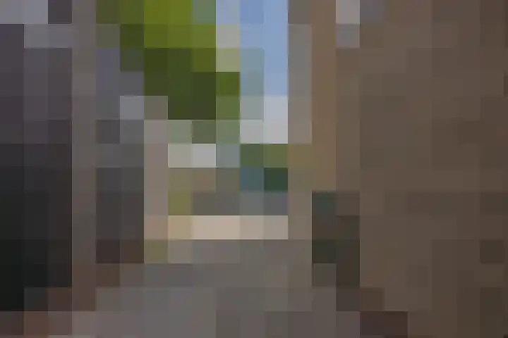 Ikeloane 17 Harkema thumbnail 37