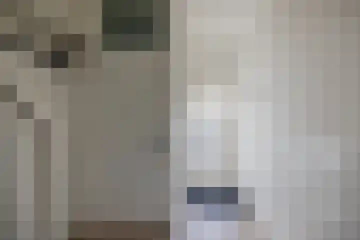 Ikeloane 17 Harkema thumbnail 6