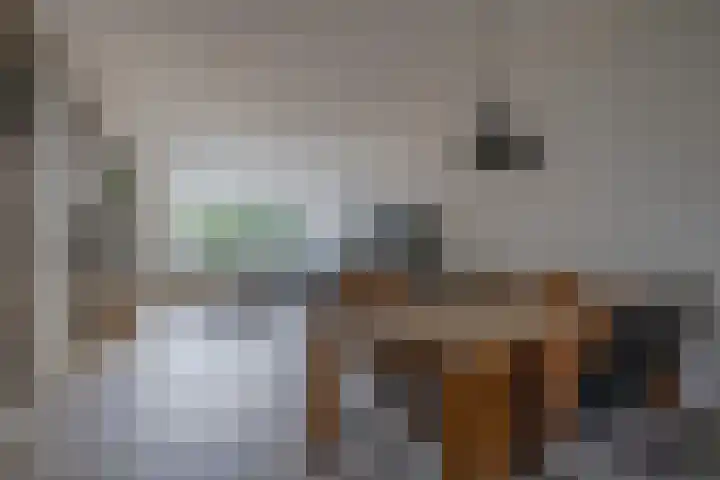 Ikeloane 17 Harkema thumbnail 8