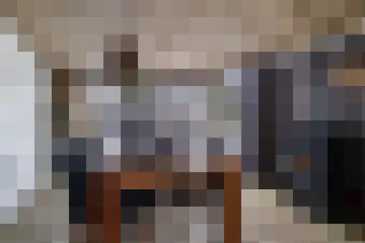 Ikeloane 27 Harkema thumbnail 15