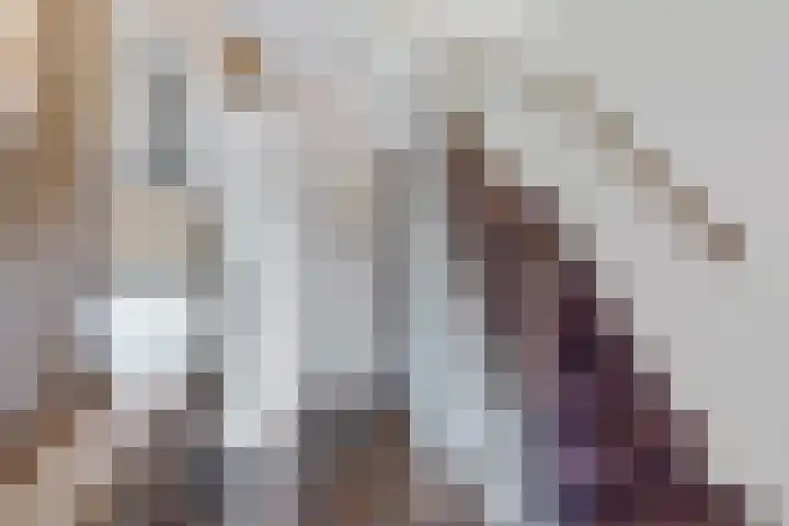 Ikeloane 27 Harkema thumbnail 19