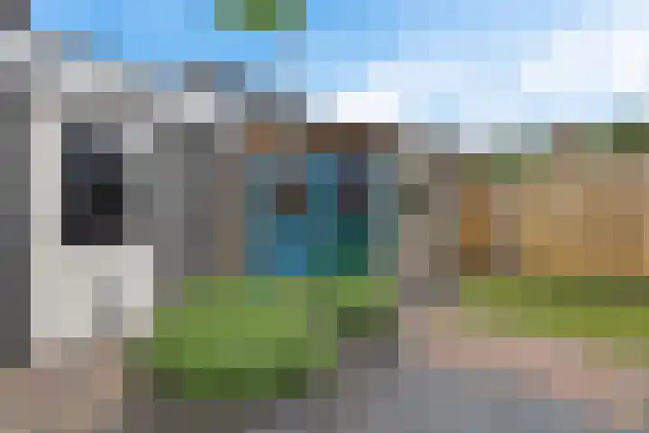 Ikeloane 27 Harkema thumbnail 29