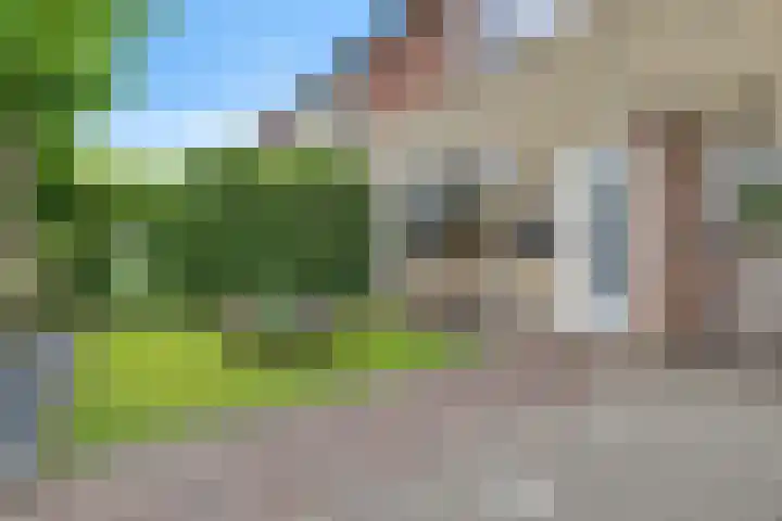 Ikeloane 27 Harkema thumbnail 35