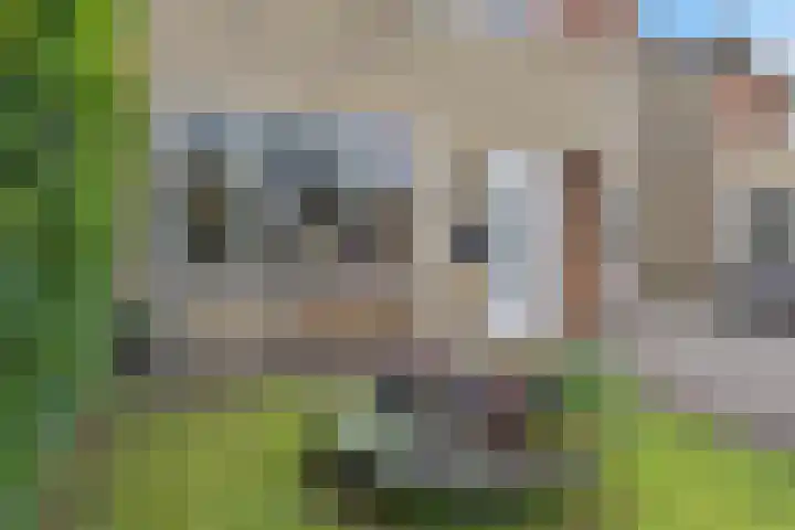 Ikeloane 27 Harkema thumbnail 36