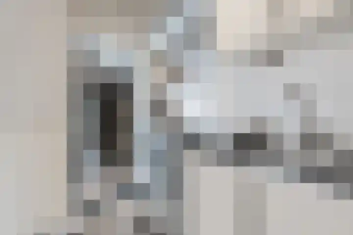 Ikeloane 27 Harkema thumbnail 6