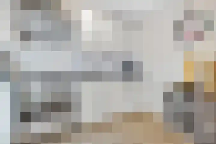 Ikeloane 27 Harkema thumbnail 7
